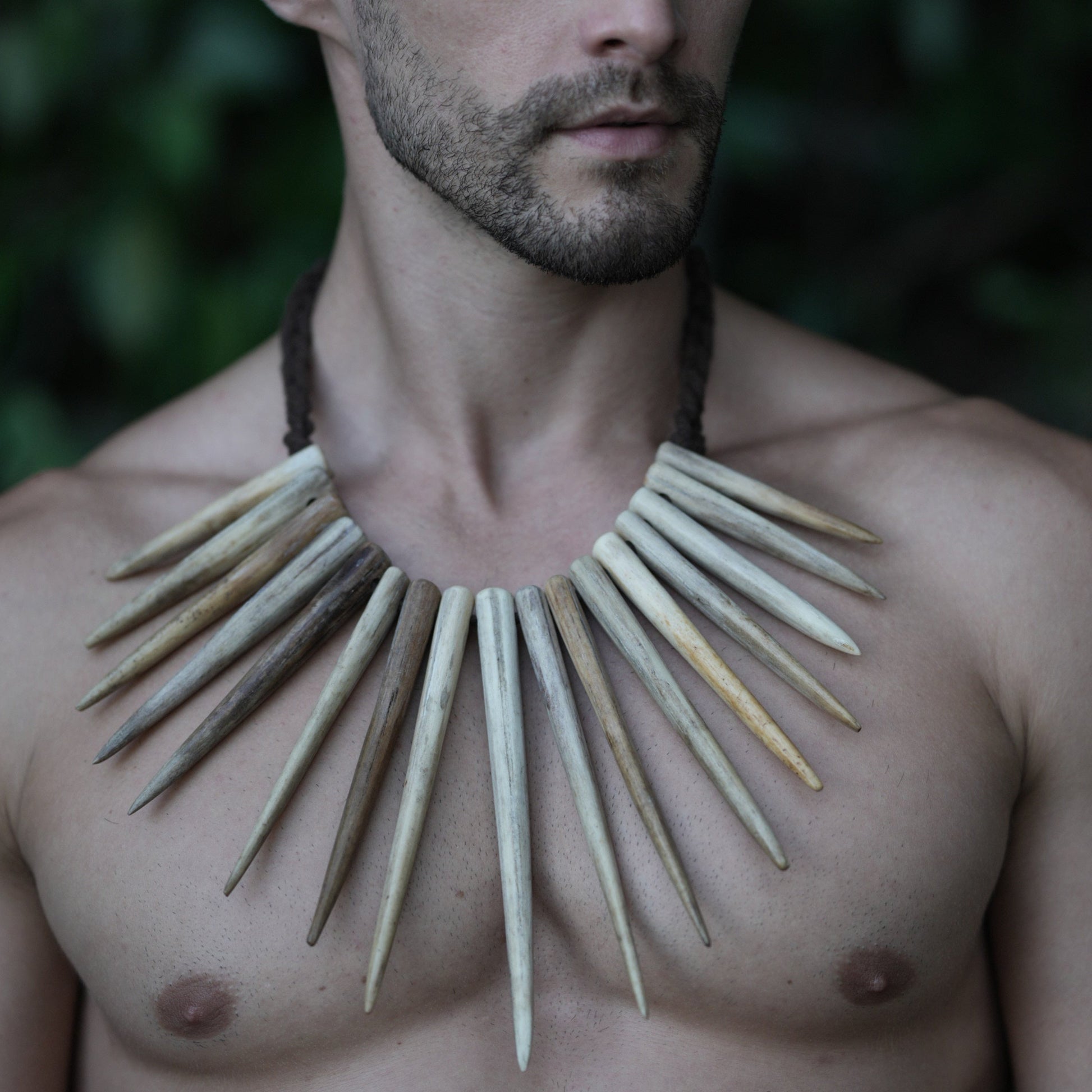 Tooth Neckpiece